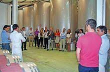 Rui Reboredo Madeira apresentou os vinhos
Beyra