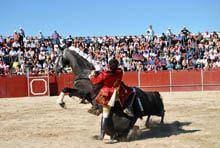 Aficion guardense premeia Gonçalo Fernandes
        e Marcos Bastinhas