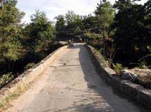 Ponte romana de Cótimos em risco de ruína