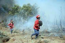 Incêndio no Porto da Carne consumiu mais de 300 hectares