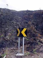 Mais de 3.000 hectares ardidos na Guarda
        desde o início do ano