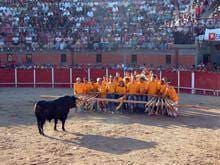A “febre” das capeias toma conta da raia