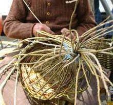 “O hobby dos meus avós” em Figueira