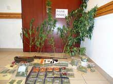 GNR apreende droga e armas em Foz Côa