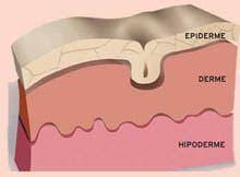 O revestimento humano