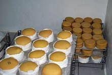 Queijo Serra da Estrela com «menor qualidade» este ano