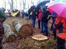 Cidadãos protestam contra desbaste do bosque
        de La Genestosa