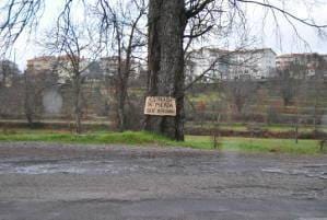 Câmara vai concluir beneficiação da estrada
do Rio Diz