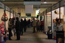 ExpoSerra revisita Gouveia este