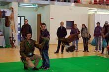 Feira de caça e pesca reforça atratividade
        de Almeida