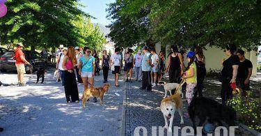 Instinto realizou este mês uma “Cãominhada” para angariar fundos