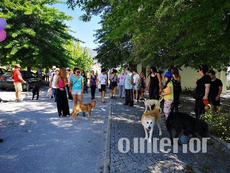 Instinto realizou este mês uma “Cãominhada” para angariar fundos