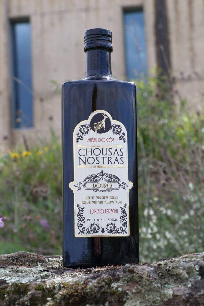 170083967 4418226681524974 8481466884286375720 N