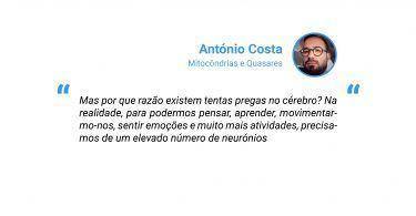 Ciencia