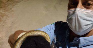 201283488 1736010496591058 7118867105926344380 N