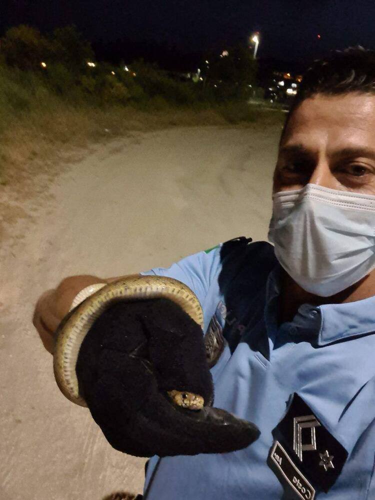 201283488 1736010496591058 7118867105926344380 N