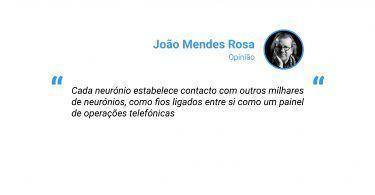 Jmr