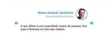 Nuno Amaral Jeronimo