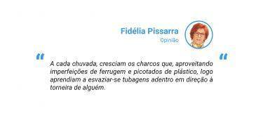 Fidelia