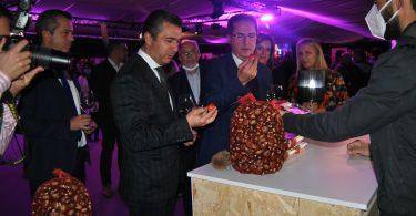 Dsc 7817