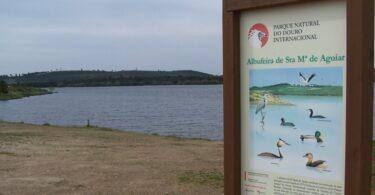 Barragem