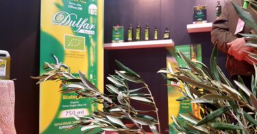 Whatsapp Image 2022 03 04 At 18.51.05