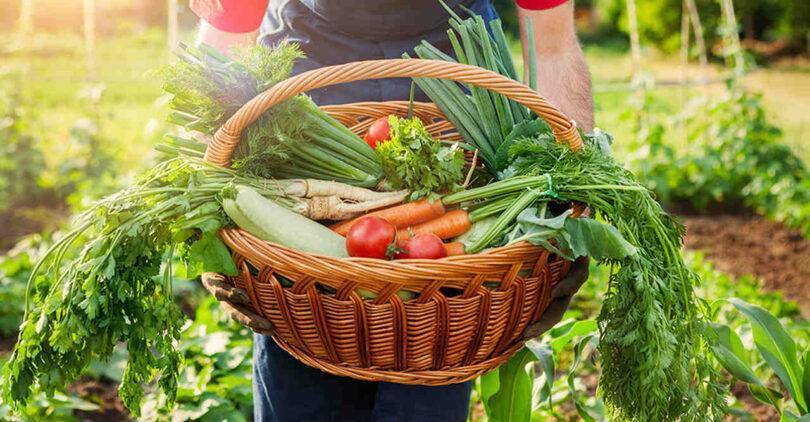 Romara Easy Resize.com