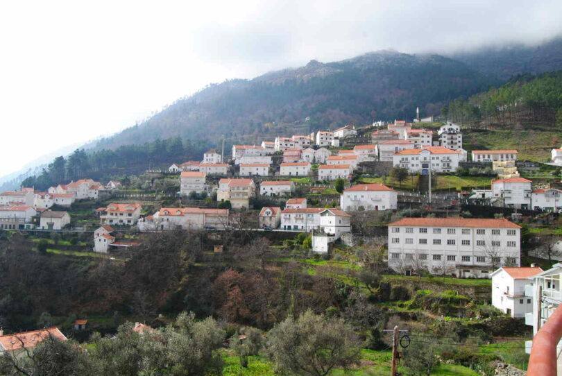 Dsc 6686 Easy Resize.com