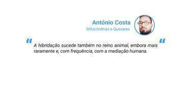 Costa Easy Resize.com