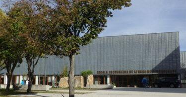 21920470199 69e145f15a