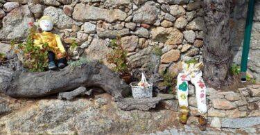 279349800 10223979133758709 8918500745695126934 N