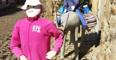 279360922 10223979133918713 3618962264137906706 N