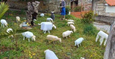 279368927 10223979133358699 4239431248772966289 N