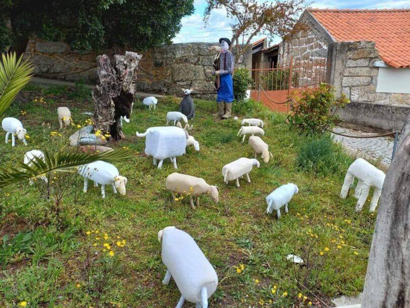 279368927 10223979133358699 4239431248772966289 N