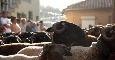 9150973052 566b22257d B