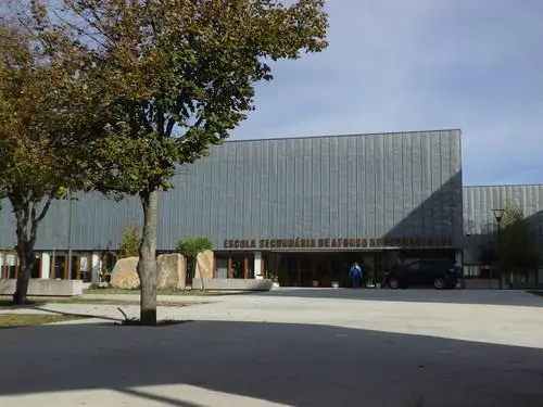 22117535391 Ff89689a4e