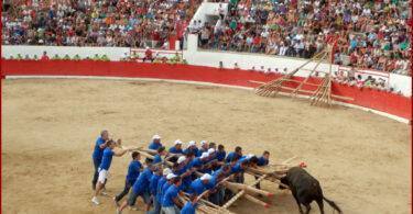 Ca2016 Calendariocapeias 590x443 01