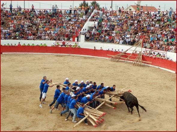 Ca2016 Calendariocapeias 590x443 01