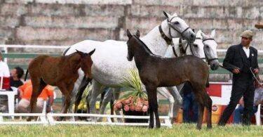 Ezgif.com Gif Maker (19)