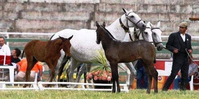 Ezgif.com Gif Maker (19)