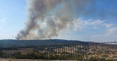 295683712 461364232210647 256458906643123762 N