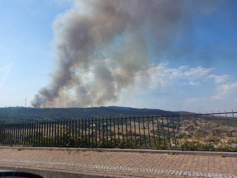 295683712 461364232210647 256458906643123762 N