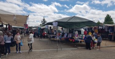 Whatsapp Image 2022 06 24 At 11.00.53