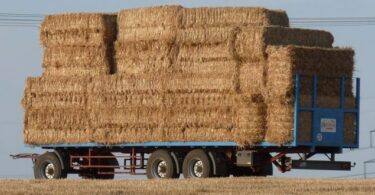 Palha Hay Wagon 889534 960 720 660x330
