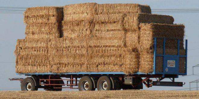 Palha Hay Wagon 889534 960 720 660x330