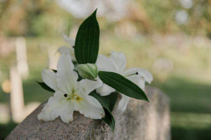 Pexels Rodnae Productions 8865150