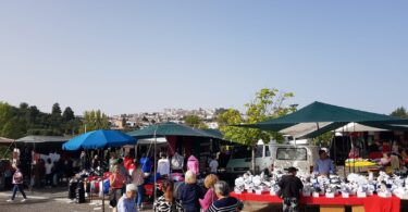 Whatsapp Image 2022 10 04 At 11.08.58