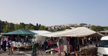 Whatsapp Image 2022 10 04 At 11.08.59