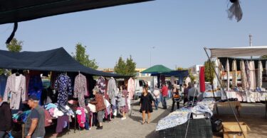 Whatsapp Image 2022 10 04 At 11.09.00