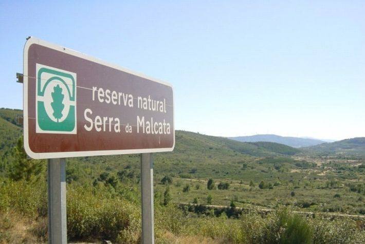 Malcata
